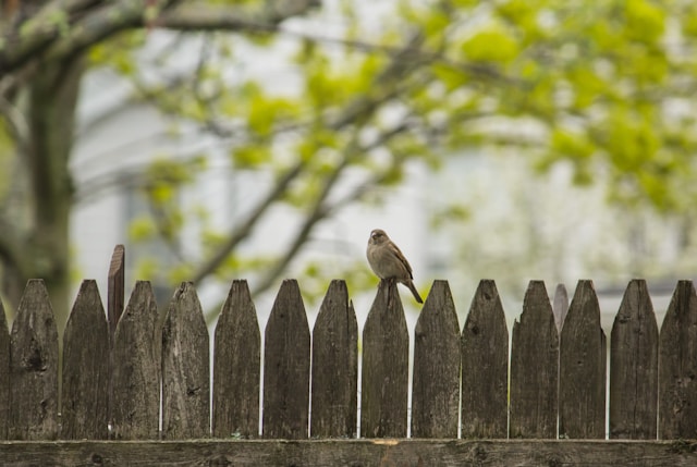 Photo by Bonnie Kittle on Unsplash
